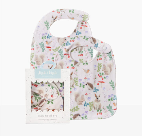 Enchanted Bib Set of 2